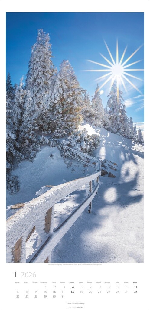 Weitere Ansicht: Im Wald Kalender 2026