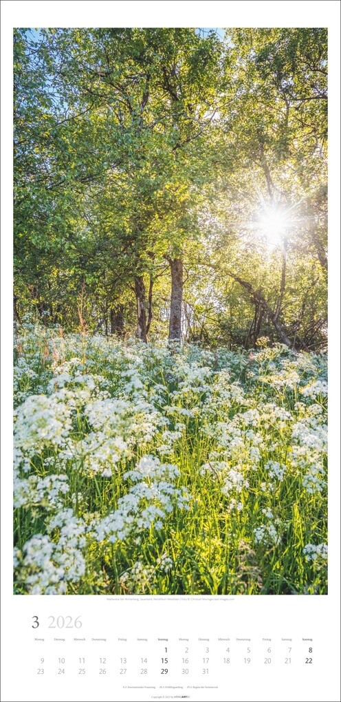 Weitere Ansicht: Im Wald Kalender 2026