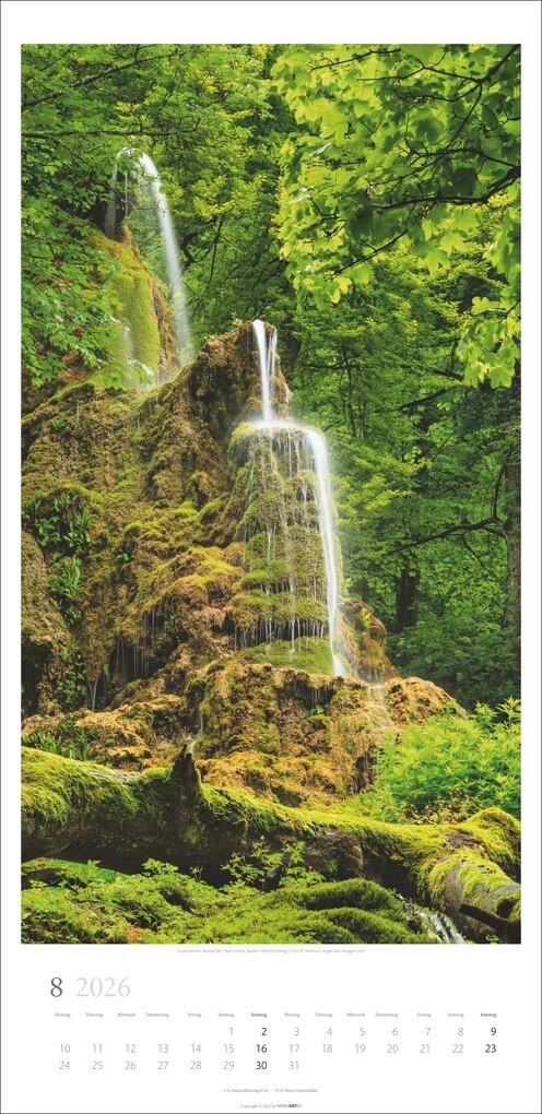 Weitere Ansicht: Im Wald Kalender 2026