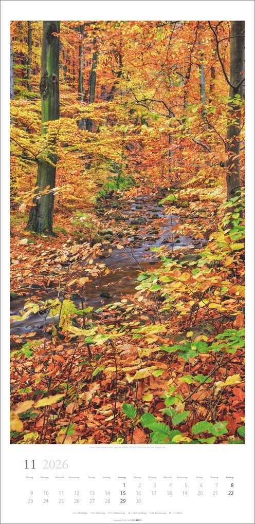 Weitere Ansicht: Im Wald Kalender 2026