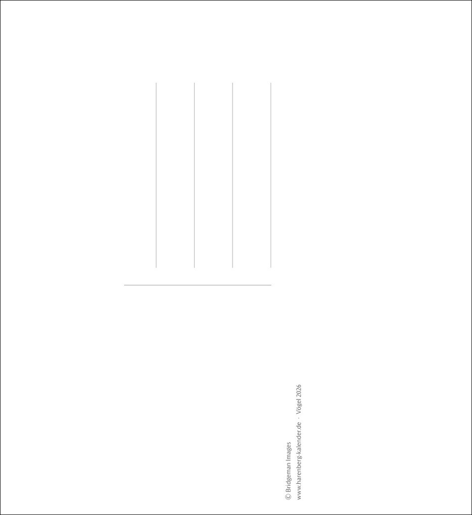 Weitere Ansicht: Vögel Postkartenkalender 2026 - Postkartenkalender mit 53 historischen Zeichnungen