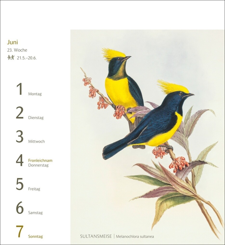 Weitere Ansicht: Vögel Postkartenkalender 2026 - Postkartenkalender mit 53 historischen Zeichnungen
