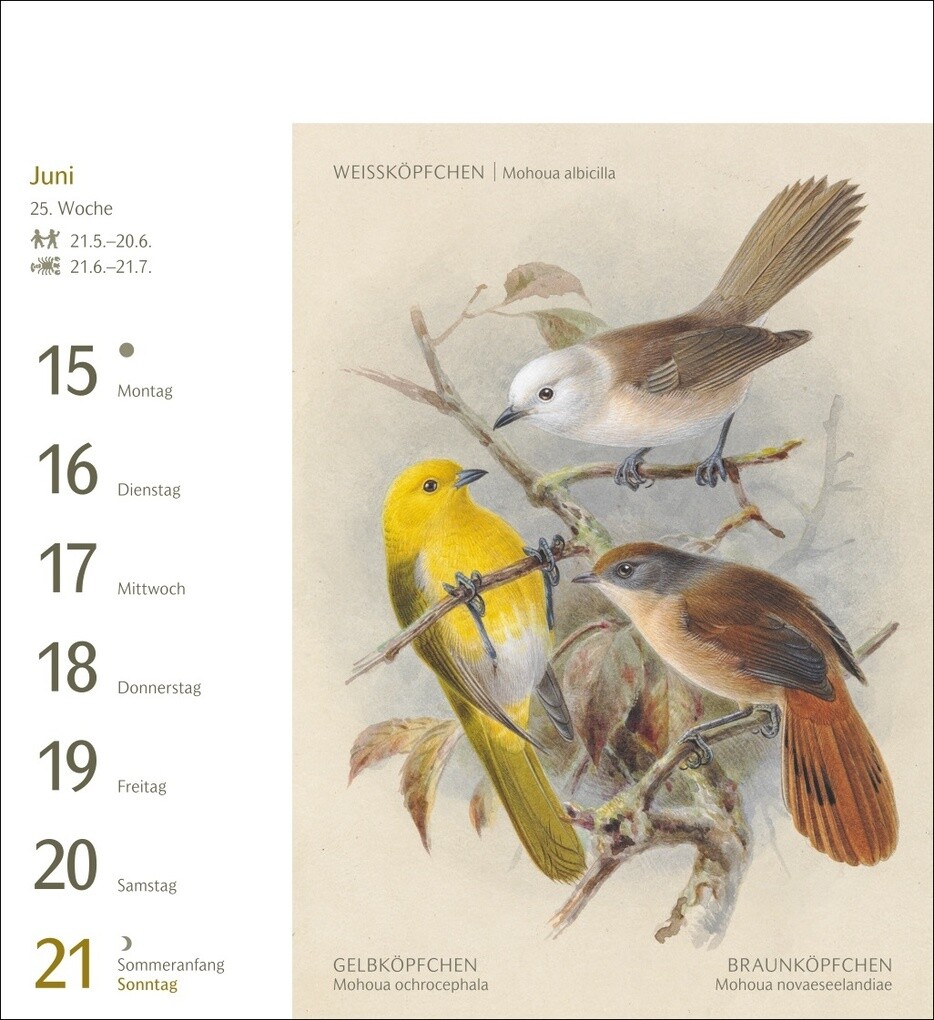 Weitere Ansicht: Vögel Postkartenkalender 2026 - Postkartenkalender mit 53 historischen Zeichnungen