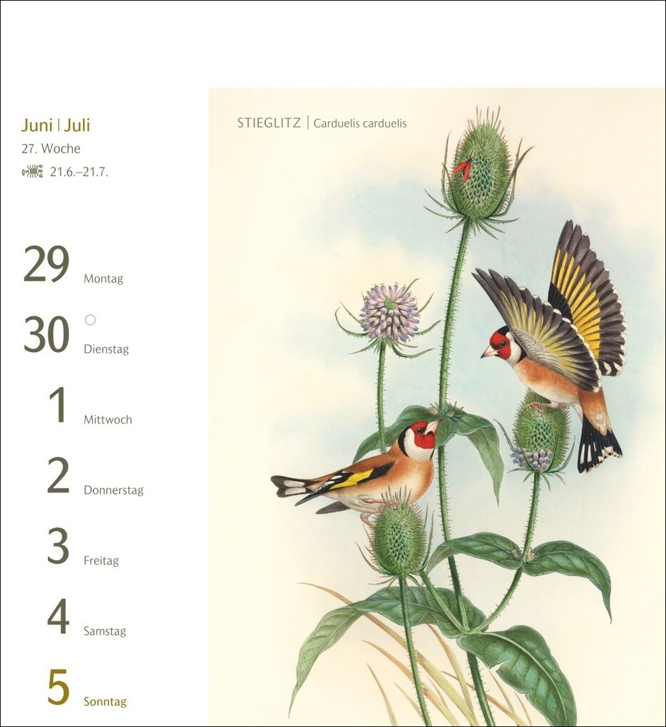 Weitere Ansicht: Vögel Postkartenkalender 2026 - Postkartenkalender mit 53 historischen Zeichnungen