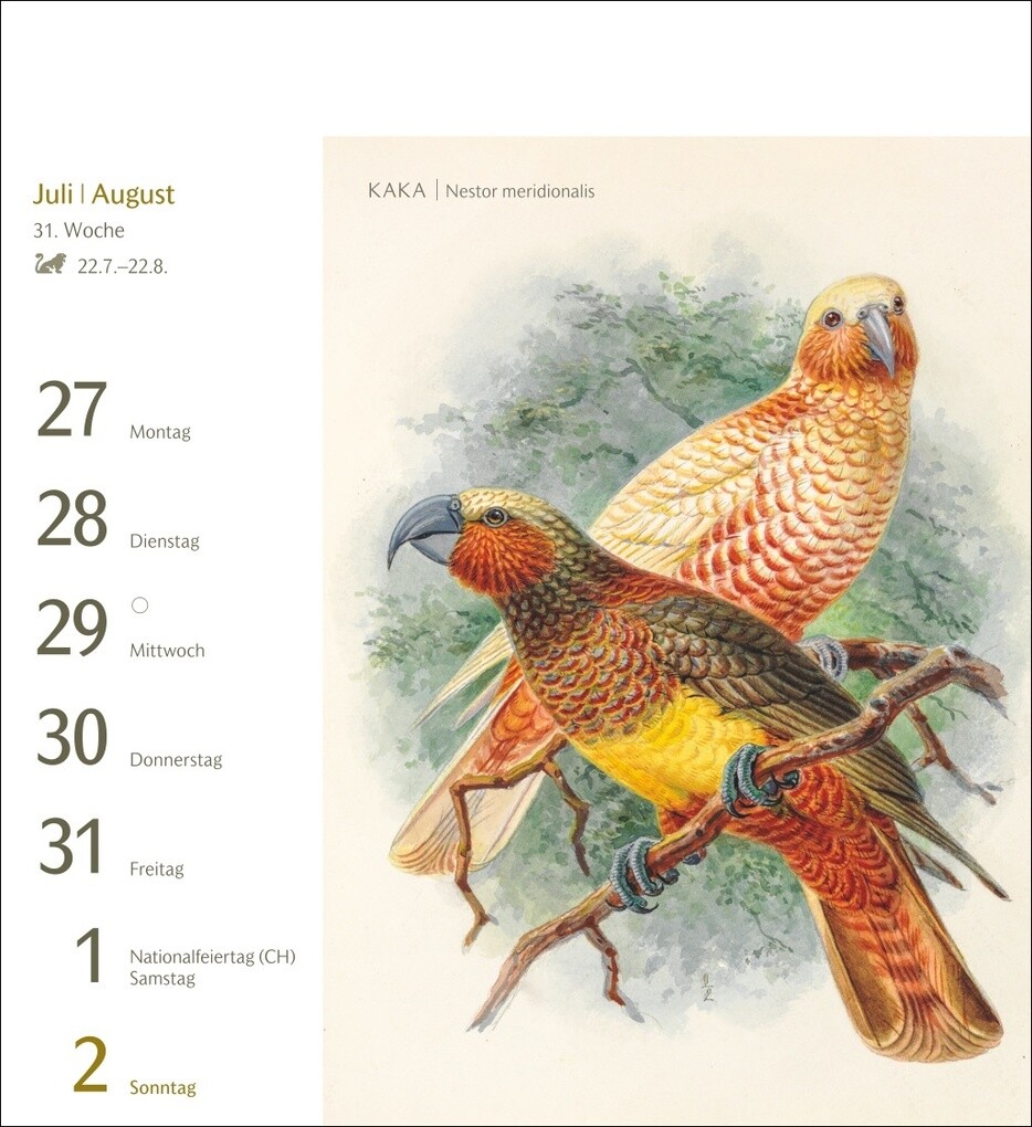 Weitere Ansicht: Vögel Postkartenkalender 2026 - Postkartenkalender mit 53 historischen Zeichnungen