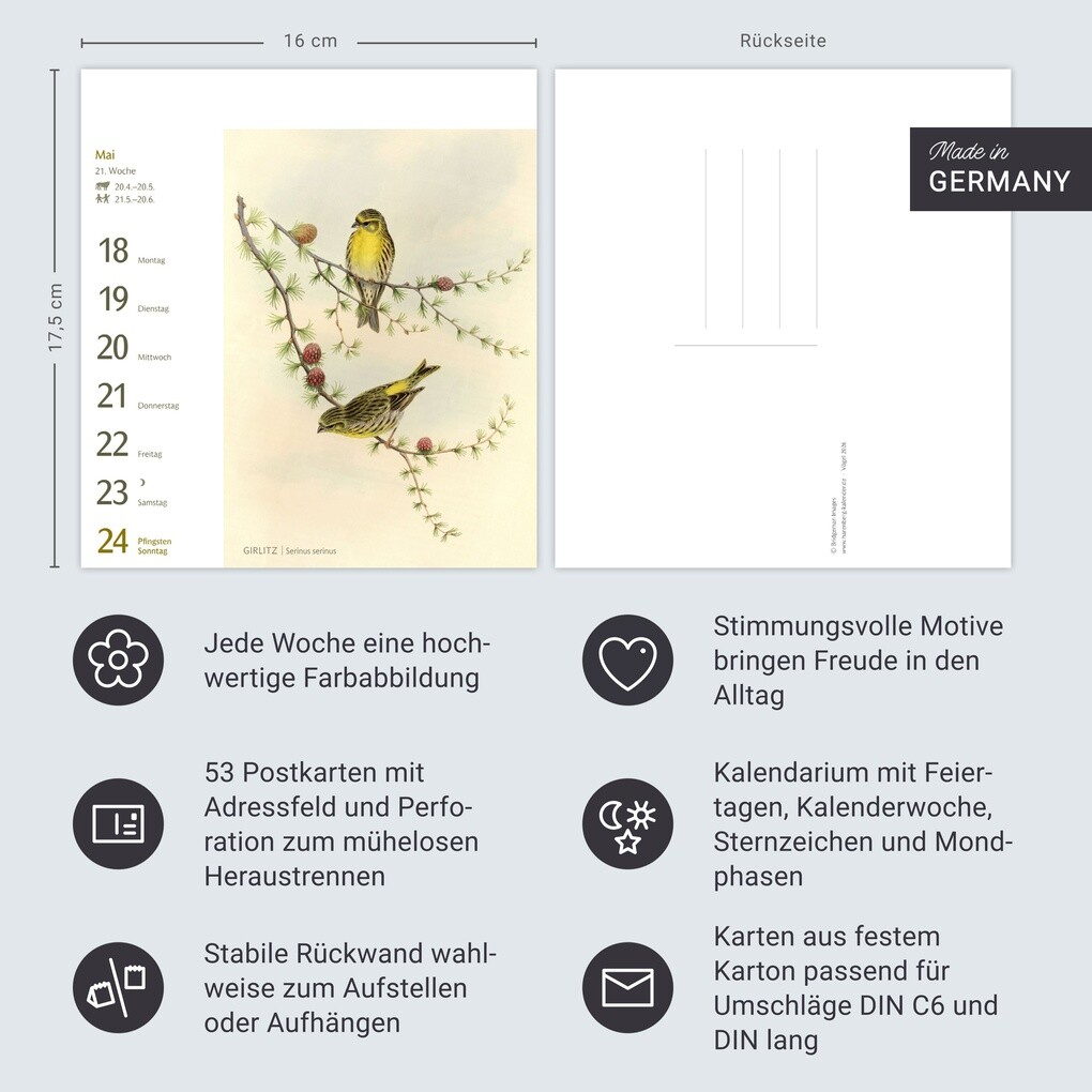 Weitere Ansicht: Vögel Postkartenkalender 2026 - Postkartenkalender mit 53 historischen Zeichnungen