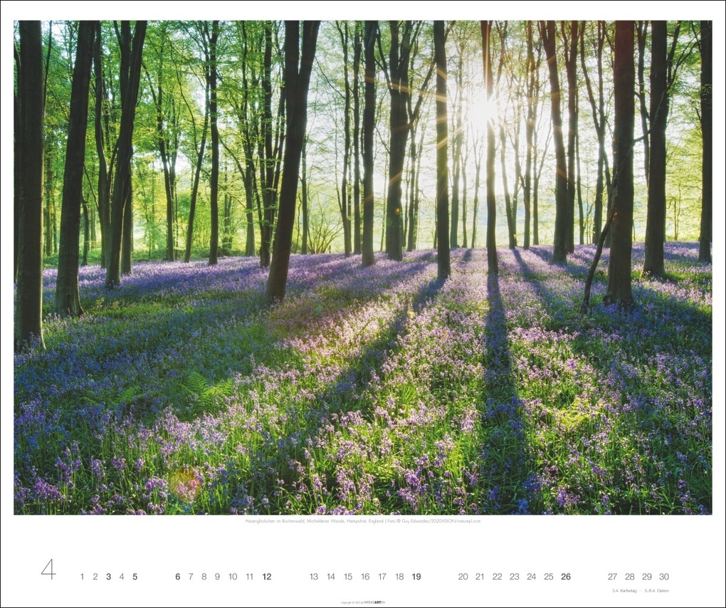 Weitere Ansicht: Magische Landschaften 2026