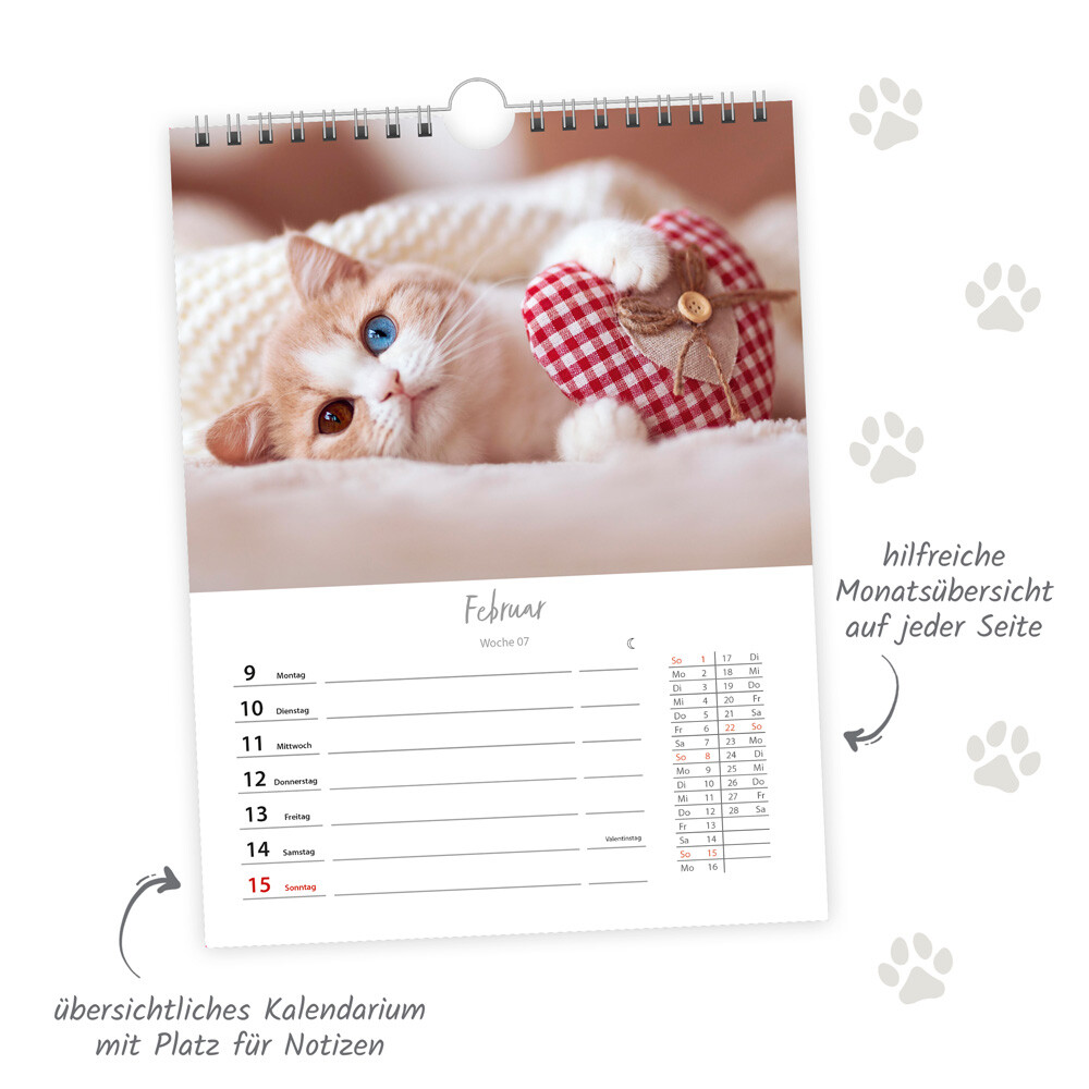 Weitere Ansicht: Trötsch Wochenkalender zum Hängen Katzen 2026
