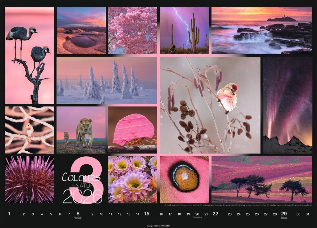 Weitere Ansicht: Colours of Nature Kalender 2026