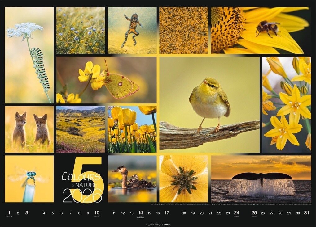 Weitere Ansicht: Colours of Nature Kalender 2026