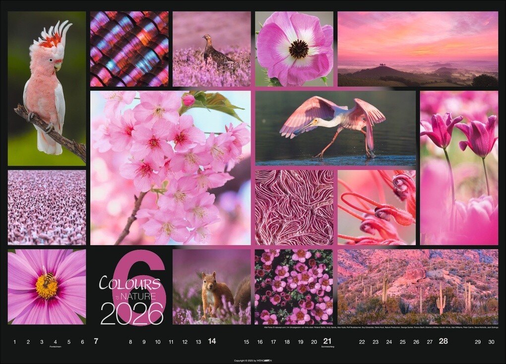 Weitere Ansicht: Colours of Nature Kalender 2026