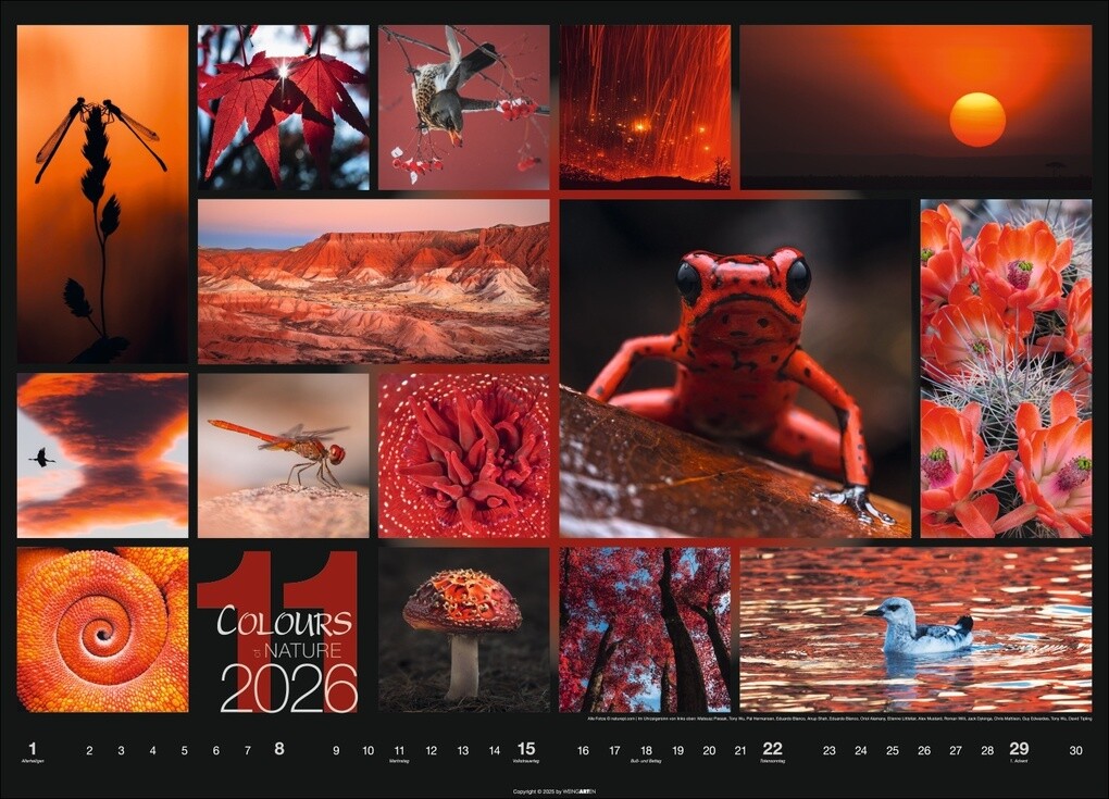 Weitere Ansicht: Colours of Nature Kalender 2026