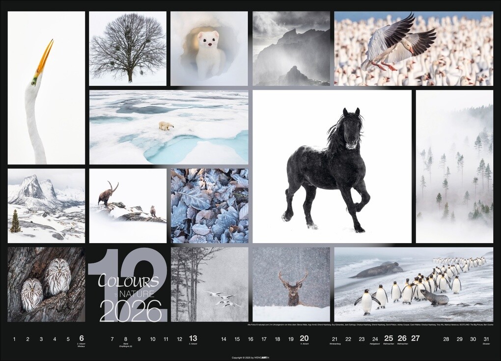 Weitere Ansicht: Colours of Nature Kalender 2026