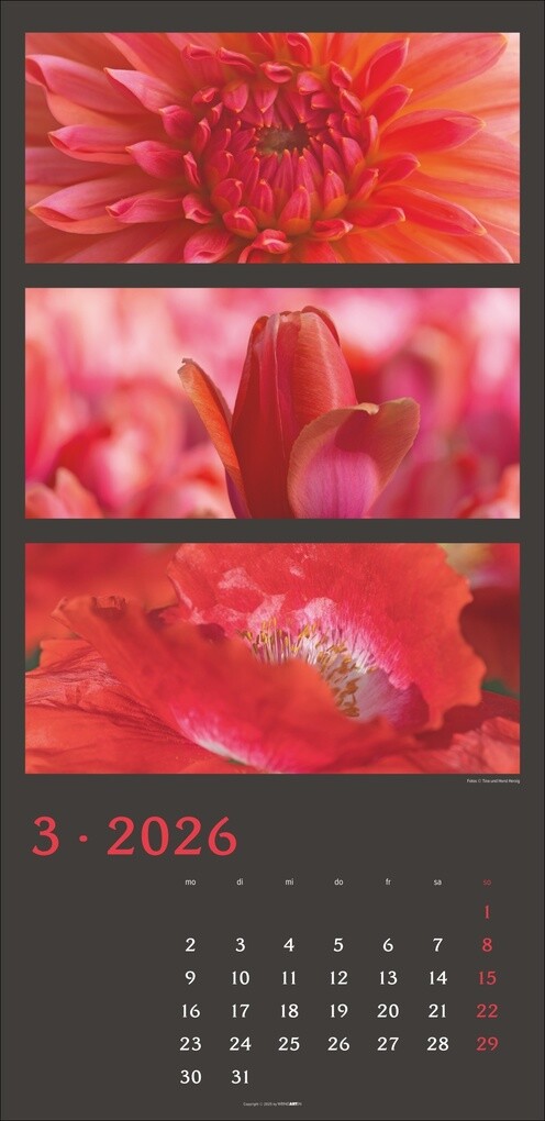 Weitere Ansicht: Die Farben der Natur Kalender 2026