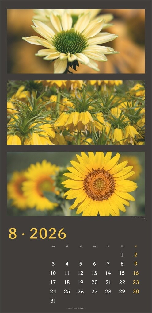 Weitere Ansicht: Die Farben der Natur Kalender 2026