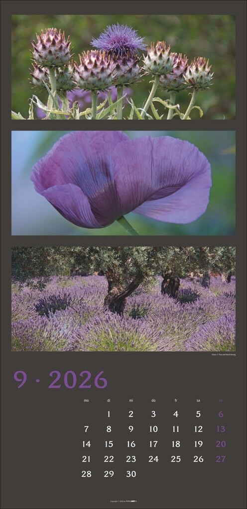 Weitere Ansicht: Die Farben der Natur Kalender 2026