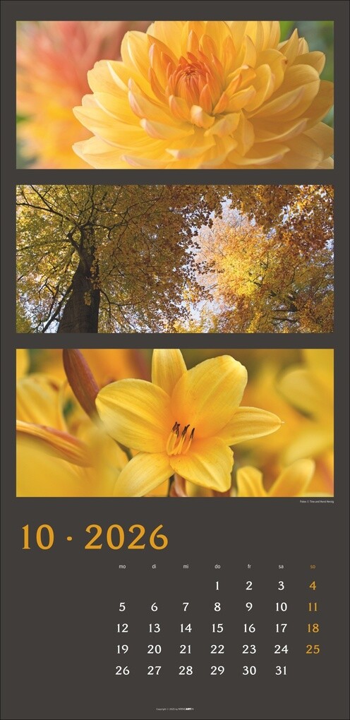 Weitere Ansicht: Die Farben der Natur Kalender 2026