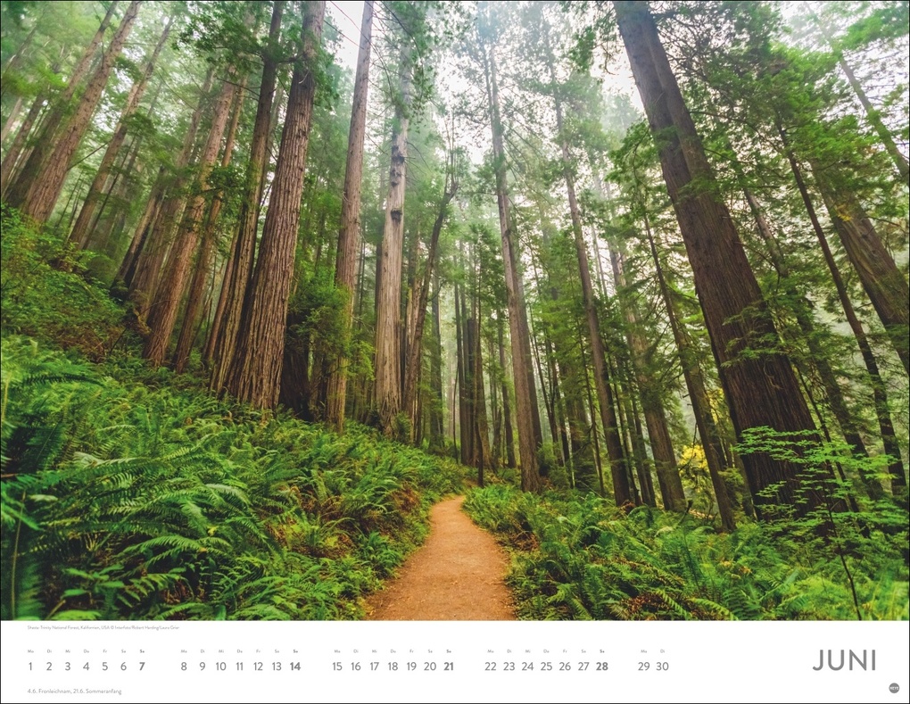 Weitere Ansicht: Orte der Kraft Posterkalender 2026