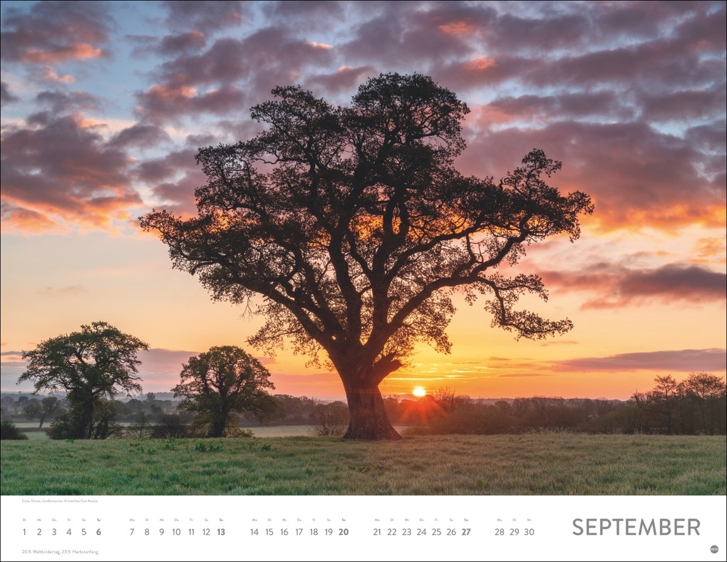 Weitere Ansicht: Orte der Kraft Posterkalender 2026