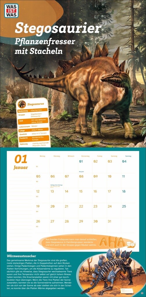 Weitere Ansicht: WAS IST WAS Dinosaurier Broschurkalender 2026
