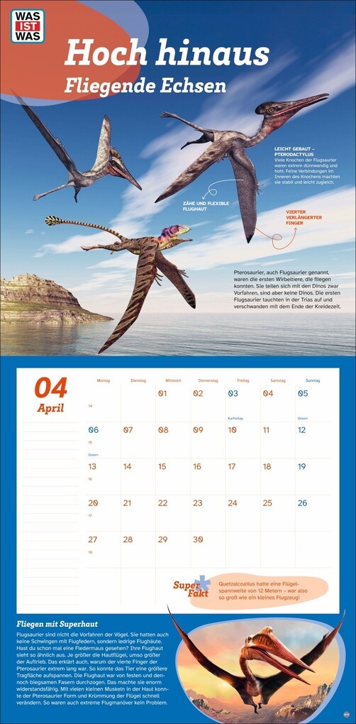Weitere Ansicht: WAS IST WAS Dinosaurier Broschurkalender 2026