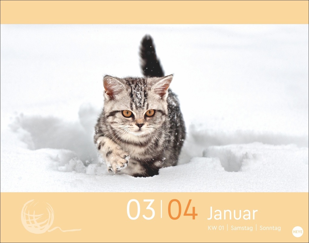 Weitere Ansicht: Katzen my love Tagesabreißkalender 2026