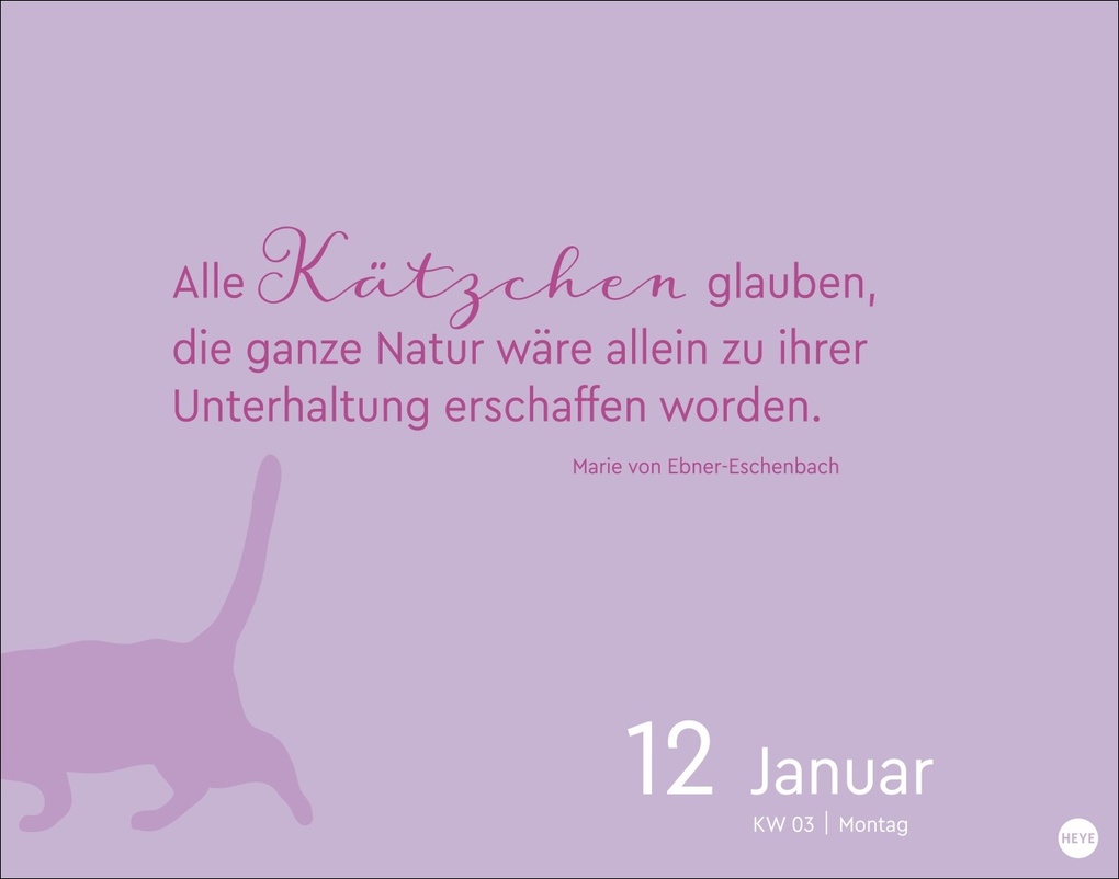 Weitere Ansicht: Katzen my love Tagesabreißkalender 2026