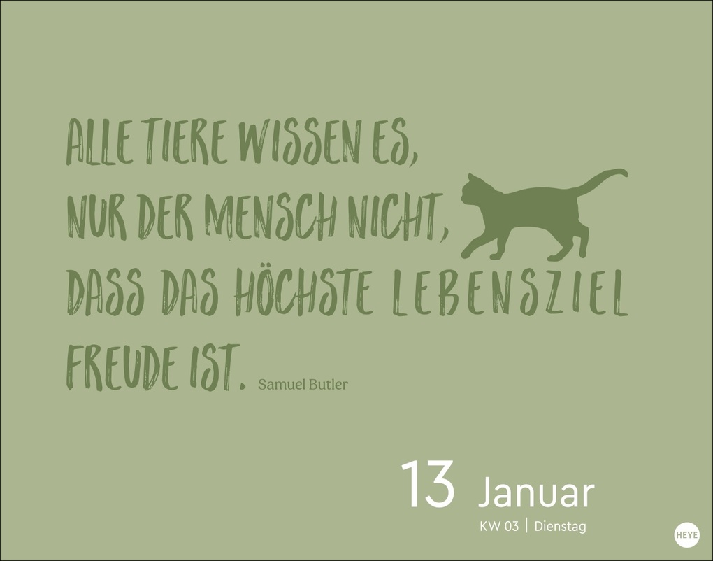 Weitere Ansicht: Katzen my love Tagesabreißkalender 2026