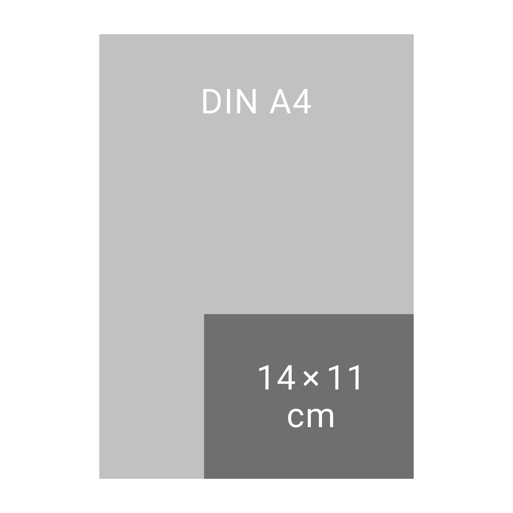 Weitere Ansicht: Katzen my love Tagesabreißkalender 2026