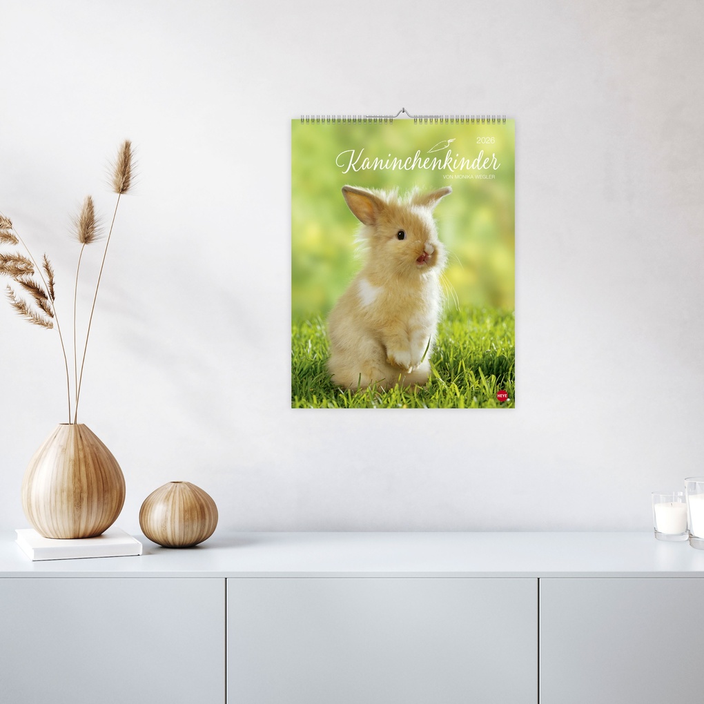 Weitere Ansicht: Kaninchenkinder Posterkalender 2026