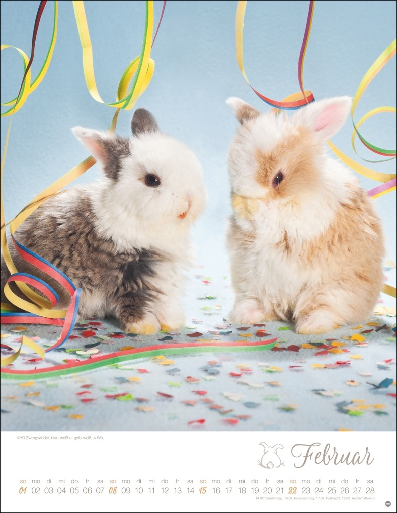 Weitere Ansicht: Kaninchenkinder Posterkalender 2026