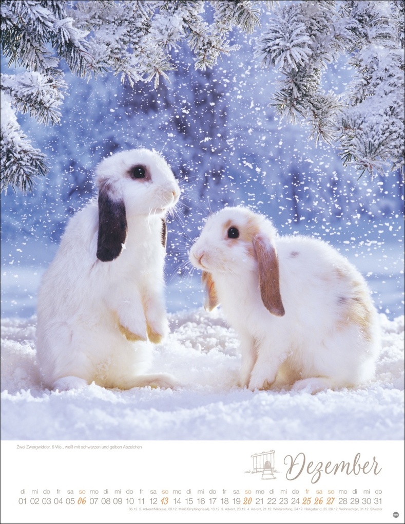 Weitere Ansicht: Kaninchenkinder Posterkalender 2026