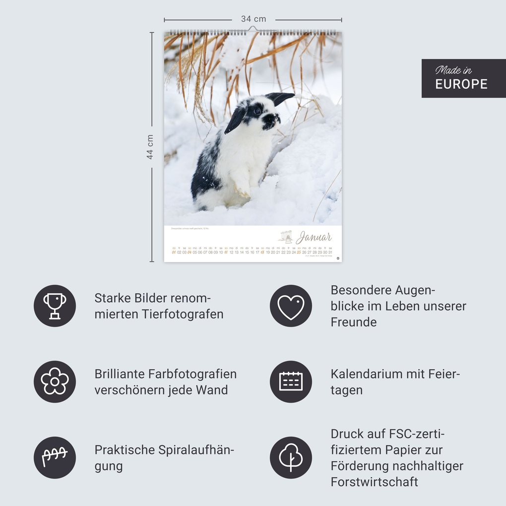 Weitere Ansicht: Kaninchenkinder Posterkalender 2026