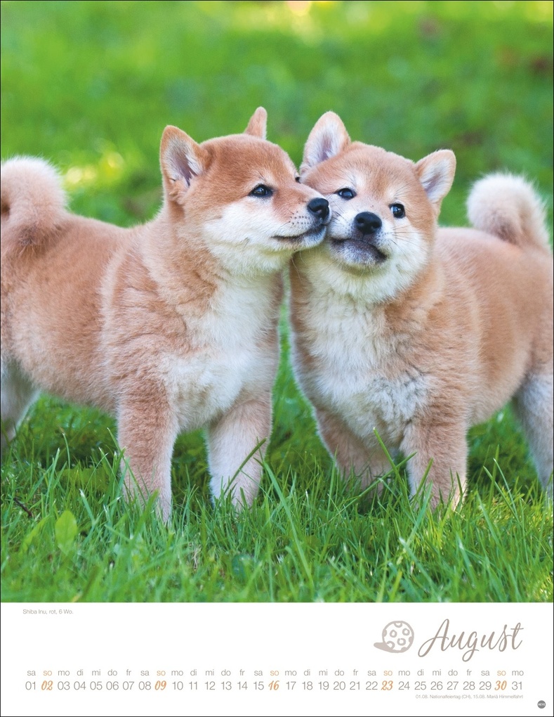 Weitere Ansicht: Hundekinder Posterkalender 2026