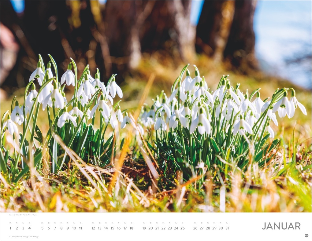 Weitere Ansicht: Blütenmeer Posterkalender 2026
