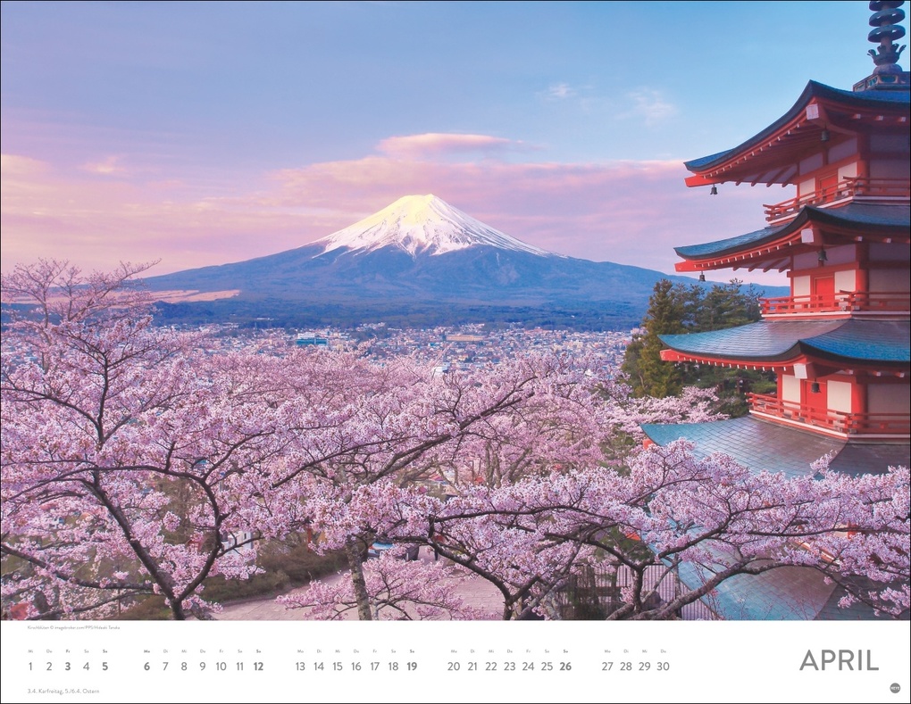 Weitere Ansicht: Blütenmeer Posterkalender 2026