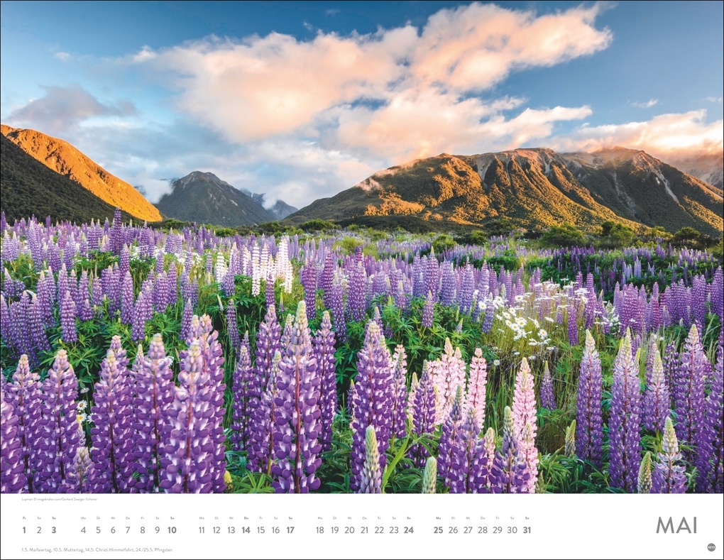 Weitere Ansicht: Blütenmeer Posterkalender 2026