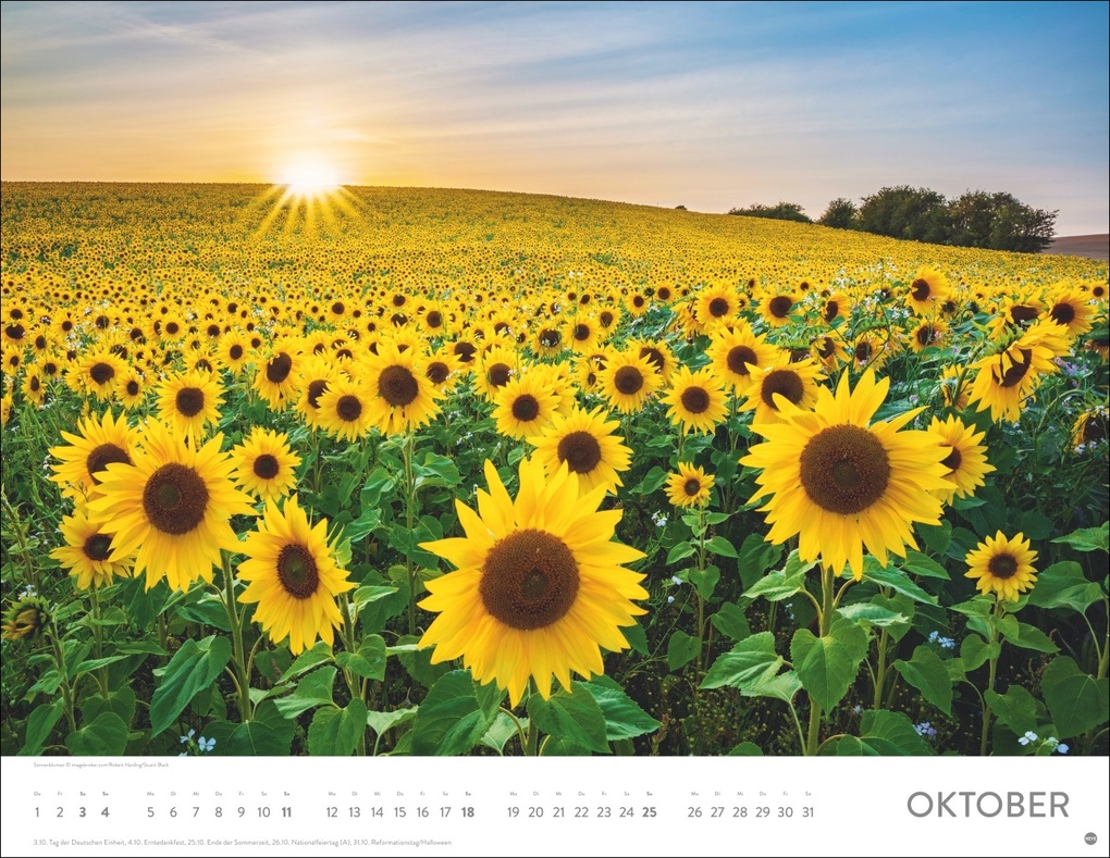 Weitere Ansicht: Blütenmeer Posterkalender 2026