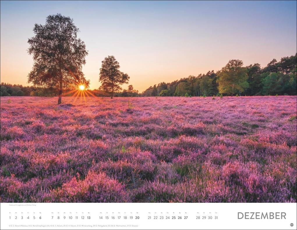 Weitere Ansicht: Blütenmeer Posterkalender 2026