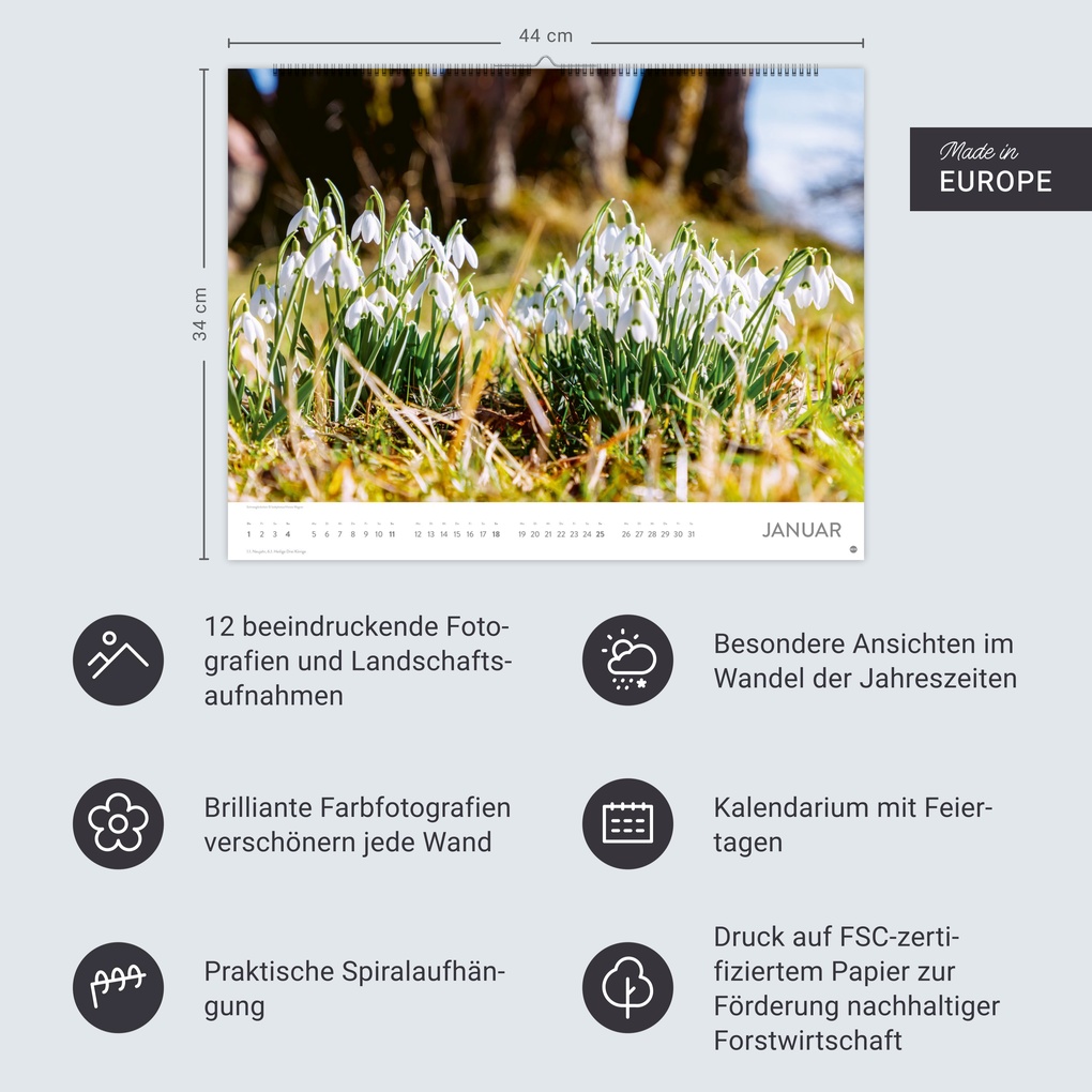 Weitere Ansicht: Blütenmeer Posterkalender 2026