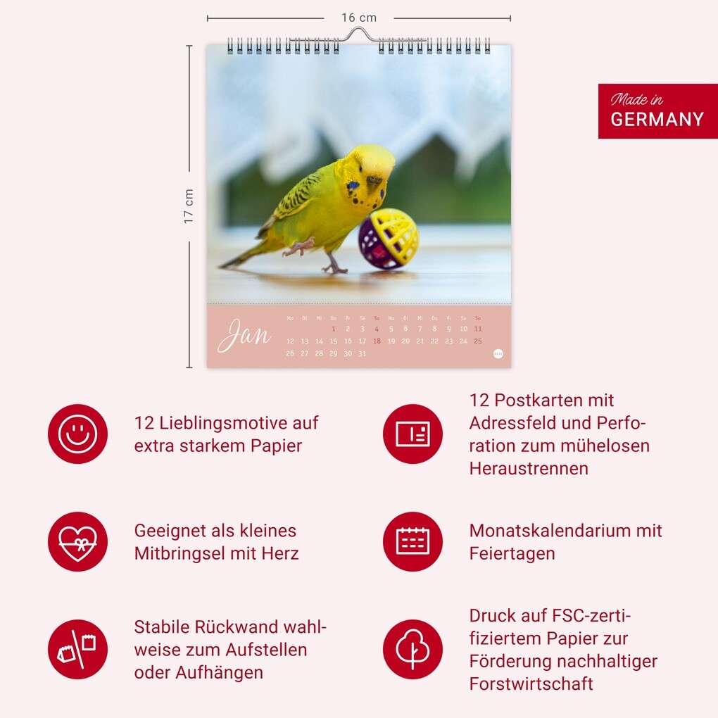 Weitere Ansicht: Freche Wellensittiche Postkartenkalender 2026