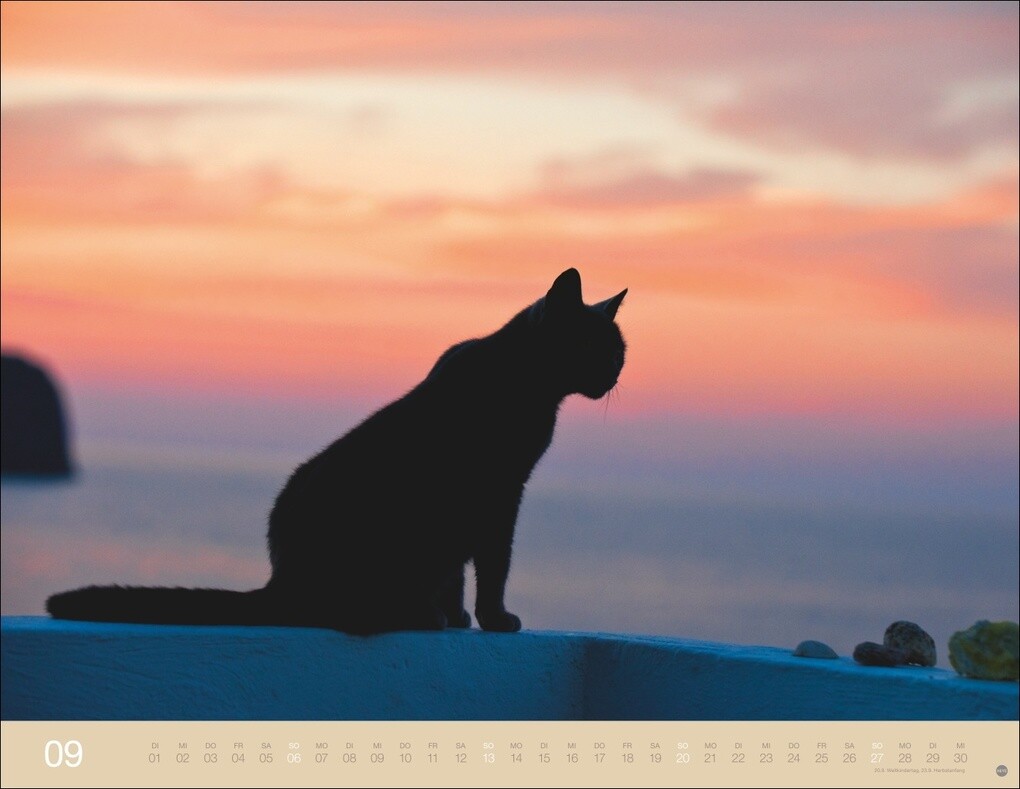 Weitere Ansicht: Monika Wegler: Katzenkalender 2026