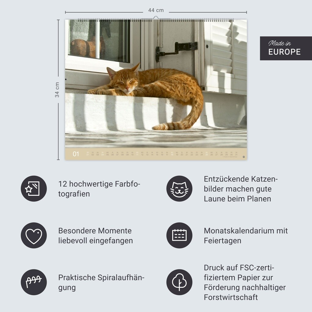 Weitere Ansicht: Monika Wegler: Katzenkalender 2026