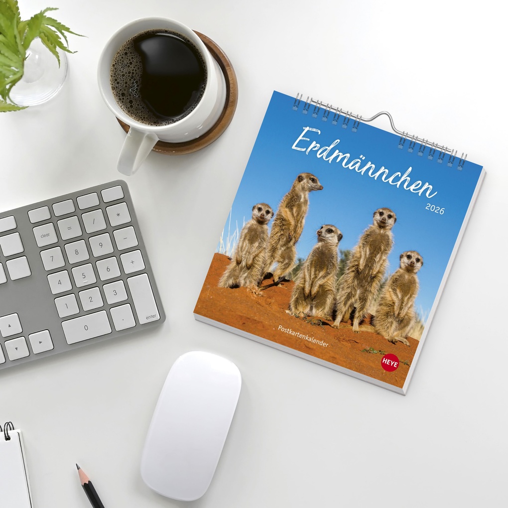 Weitere Ansicht: Erdmännchen Postkartenkalender 2026