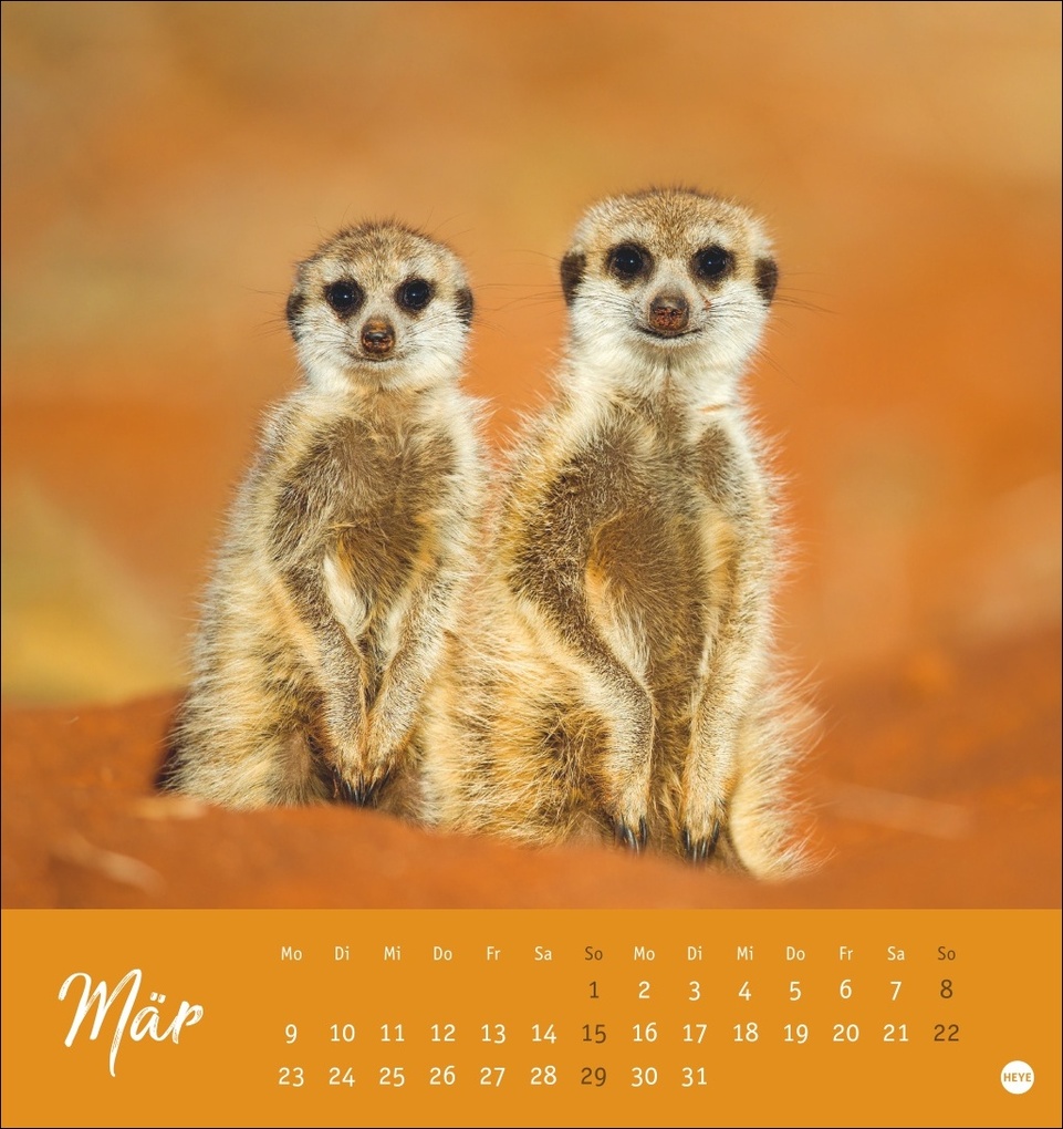 Weitere Ansicht: Erdmännchen Postkartenkalender 2026