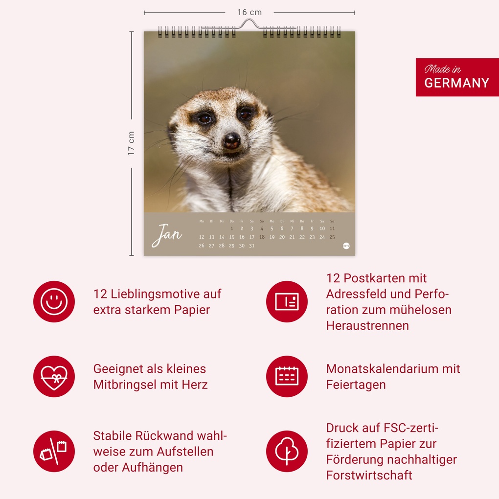 Weitere Ansicht: Erdmännchen Postkartenkalender 2026