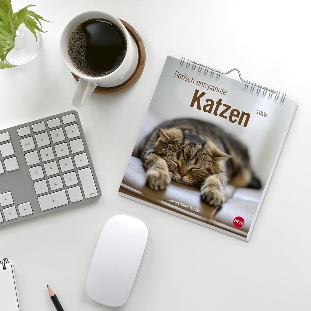 Weitere Ansicht: Tierisch entspannte Katzen Postkartenkalender 2026