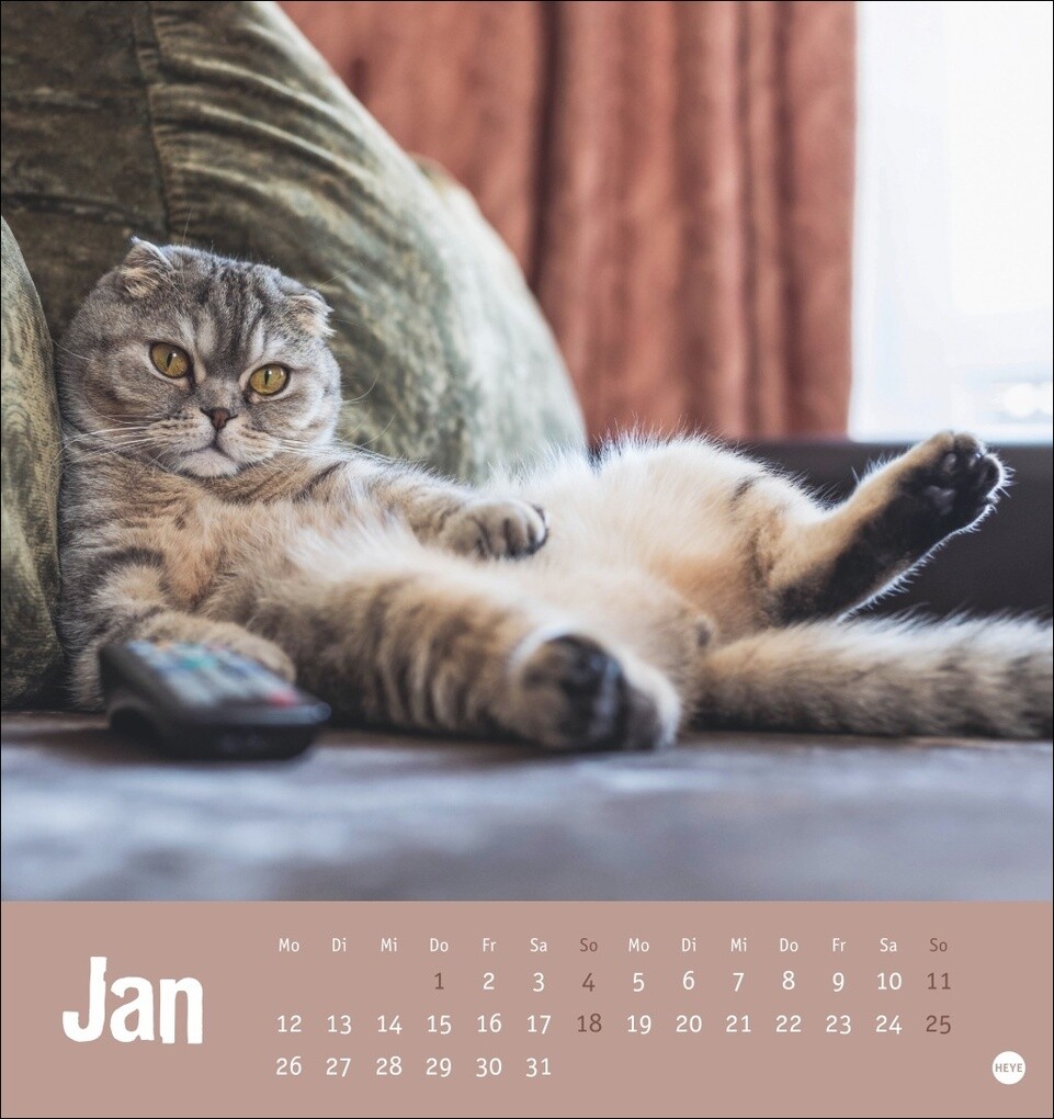 Weitere Ansicht: Tierisch entspannte Katzen Postkartenkalender 2026