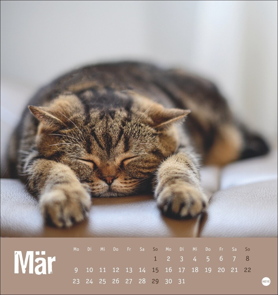 Weitere Ansicht: Tierisch entspannte Katzen Postkartenkalender 2026