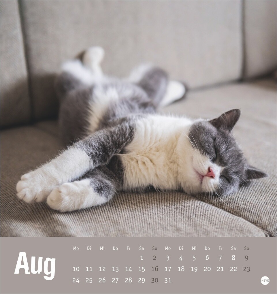 Weitere Ansicht: Tierisch entspannte Katzen Postkartenkalender 2026